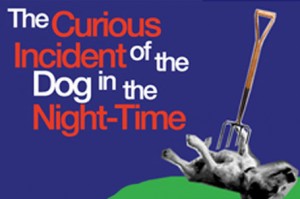 curious incident of the dog in the nighttime